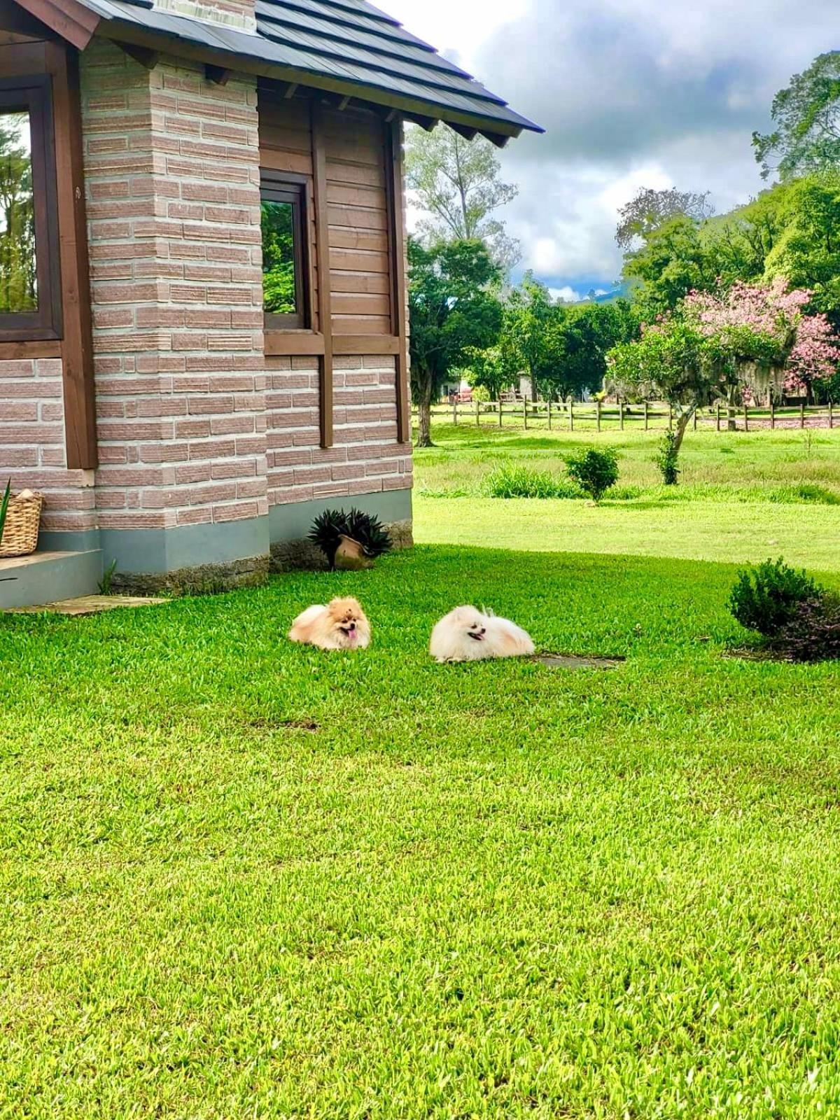 Cabanas Vale Verde ปรายากรันเจ ภายนอก รูปภาพ