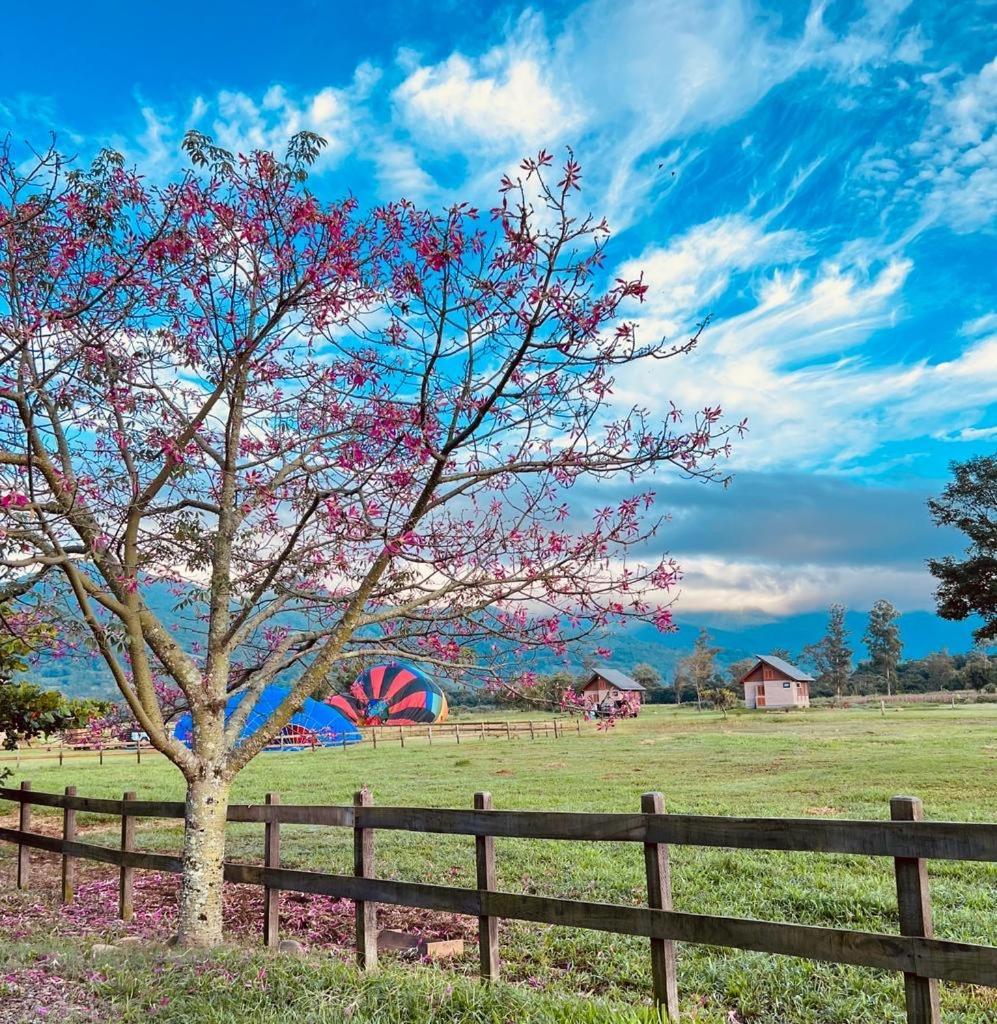 Cabanas Vale Verde ปรายากรันเจ ภายนอก รูปภาพ
